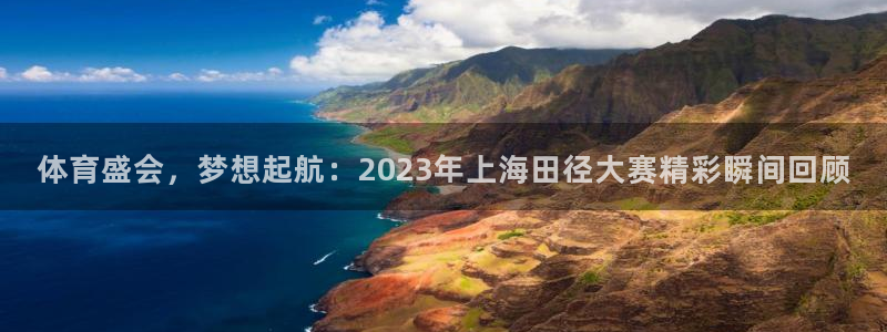 V体育网站入口登录：体育盛会，梦想起航：2023年上海田径大赛精彩瞬间回顾