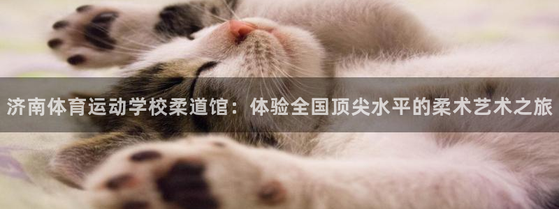 V体育网站入口登录：济南体育运动学校柔道馆：体验全国顶尖水平的柔术艺术之旅
