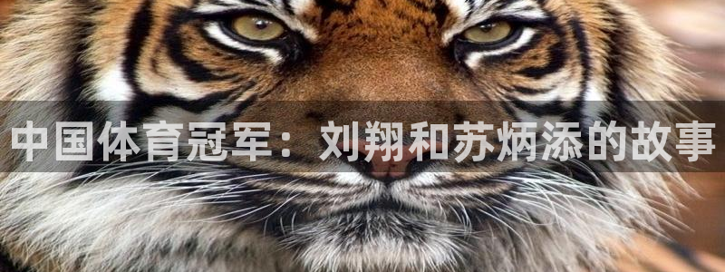 v体育下载：中国体育冠军：刘翔和苏炳添的故事