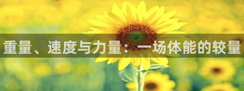v体育官网下载：重量、速度与力量：一场体能的较量