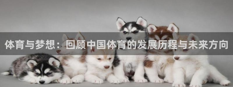 V体育首页登录入口：体育与梦想：回顾中国体育的发展历程与未来方向